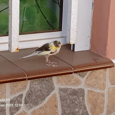 Gioly Séjour chez l'habitant *