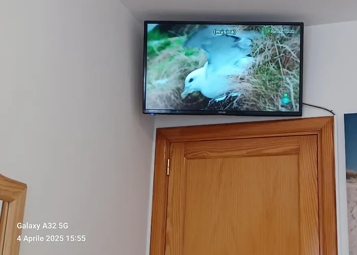 Gioly Homestay szállás *