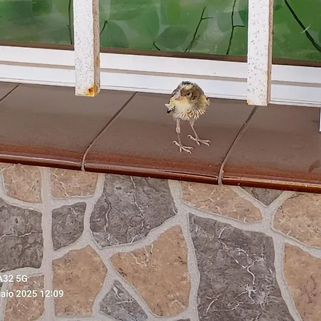 Gioly Homestay szállás